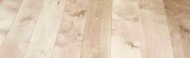 BIRCH