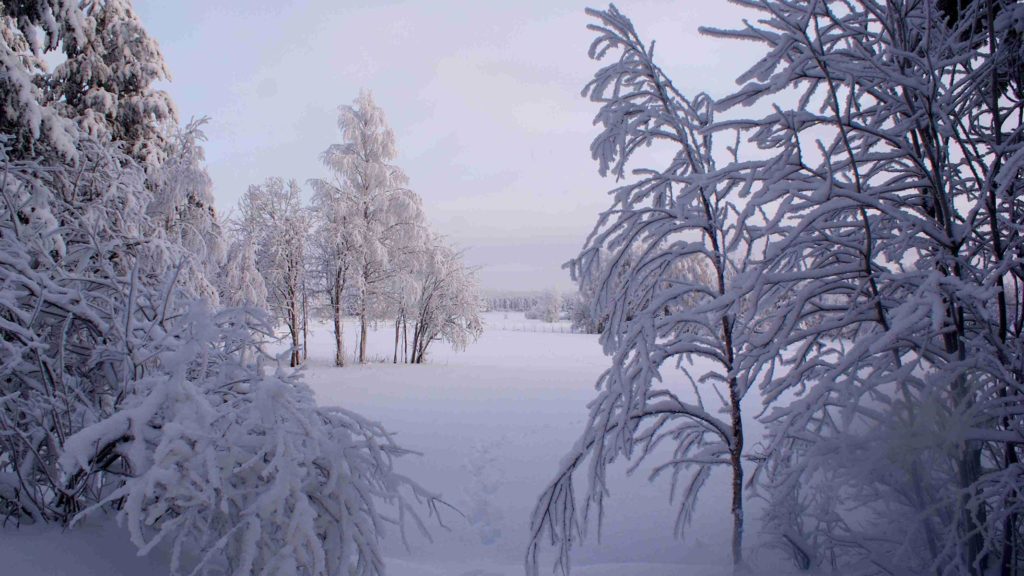 ロシアの雪景色
